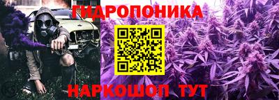 индика Изобильный