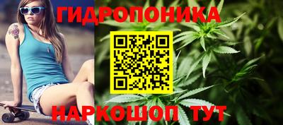 шишки Ирбит