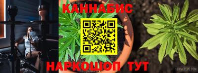 шишки Ирбит
