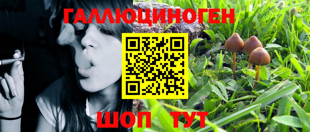 Псилоцибиновые грибы Psilocybe  Псилоцибиновые грибы Psilocybe  Иркутск  Вход с VPN 